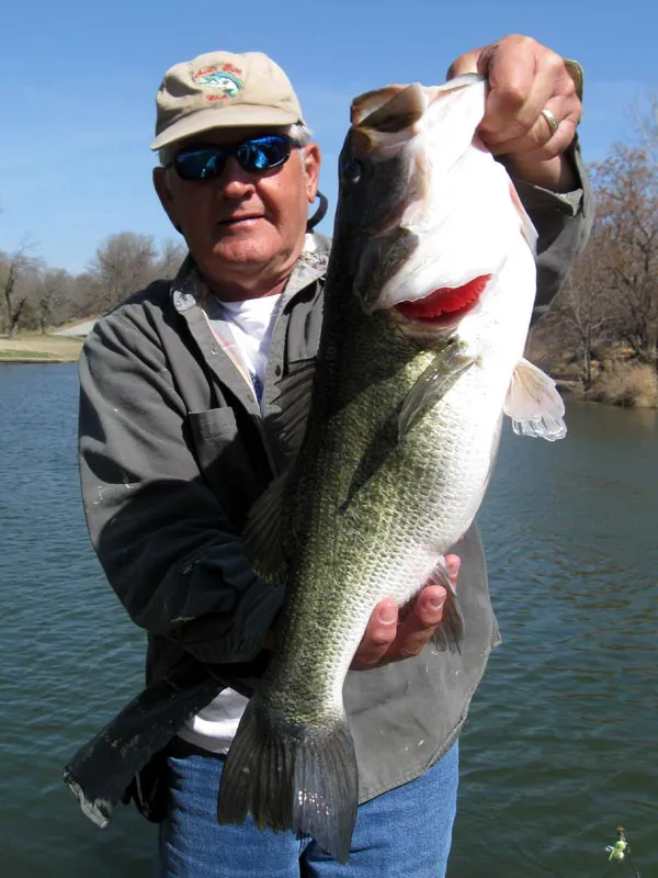 Trophy bass caught on Lake LBJ