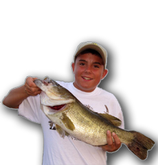 Nice big Fayette bass